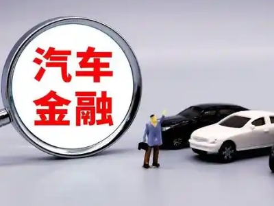 经开押车贷款不是本人可以么?